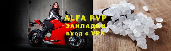 крисы Новодвинск