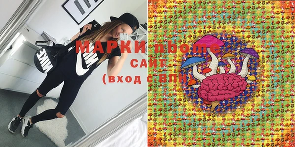 крисы Новодвинск